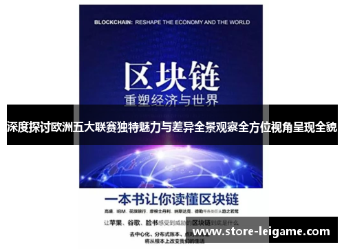 深度探讨欧洲五大联赛独特魅力与差异全景观察全方位视角呈现全貌
